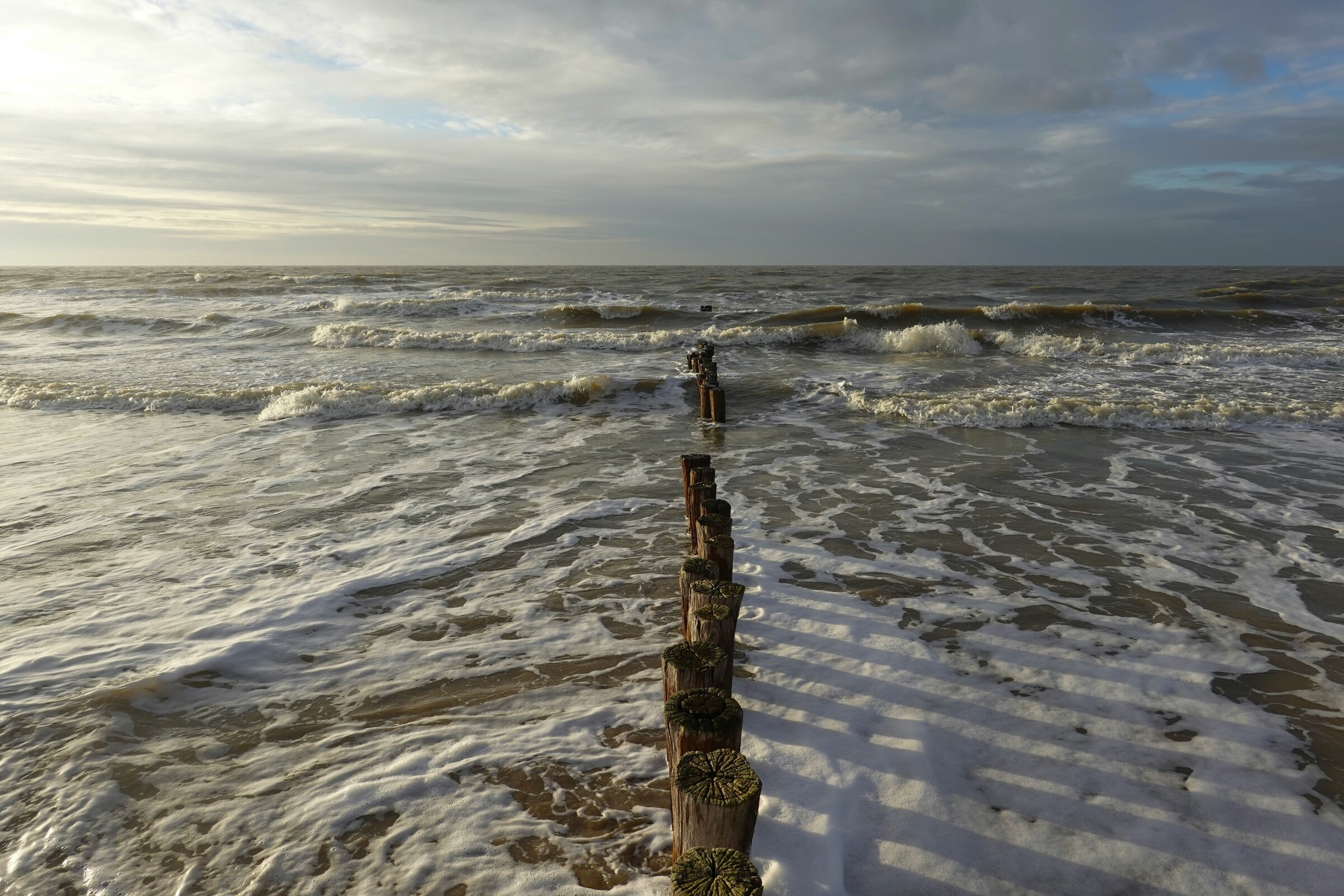 peter-hoogmoed-bZeHmXp8KQc-unsplash.jpg peter-hoogmoed-bZeHmXp8KQc-unsplash.jpg